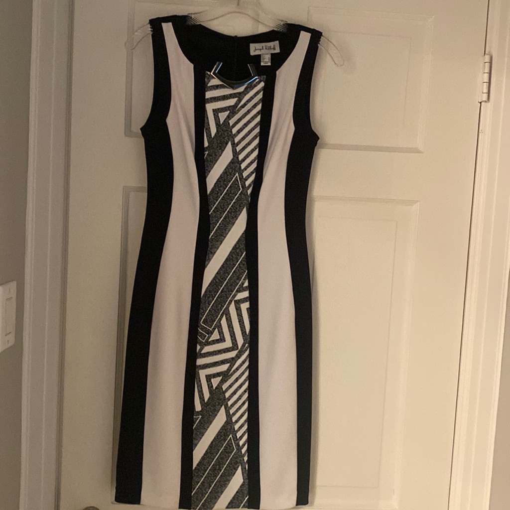 Joseph Ribkoff Stretch Fitted Dress With Simsid Black On Backside